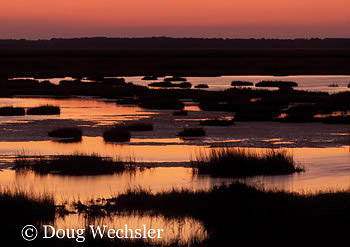 Saltmarsh Sunset 3133-01.jpg - 49014 Bytes